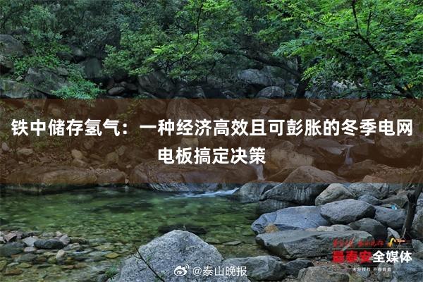 铁中储存氢气：一种经济高效且可彭胀的冬季电网电板搞定决策
