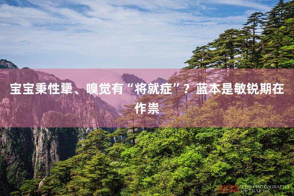 宝宝秉性犟、嗅觉有“将就症”？蓝本是敏锐期在作祟