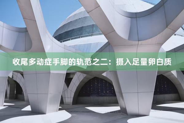 收尾多动症手脚的轨范之二：摄入足量卵白质