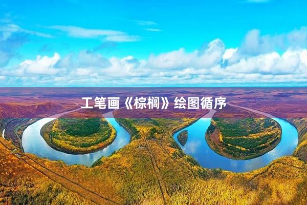 工笔画《棕榈》绘图循序