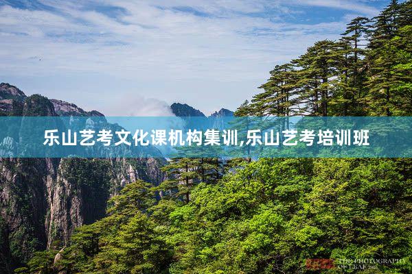 乐山艺考文化课机构集训,乐山艺考培训班