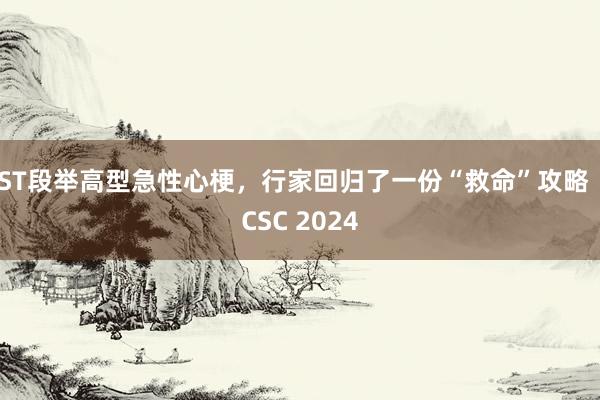 ST段举高型急性心梗，行家回归了一份“救命”攻略｜CSC 2024