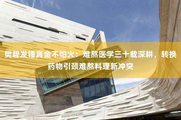 樊碧发锤真金不怕火：难熬医学三十载深耕，转换药物引颈难熬料理新冲突