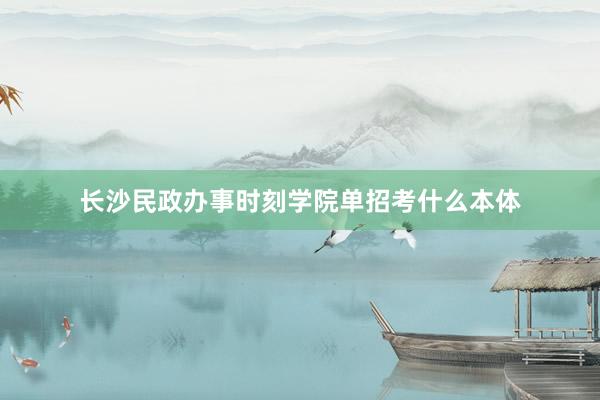 长沙民政办事时刻学院单招考什么本体