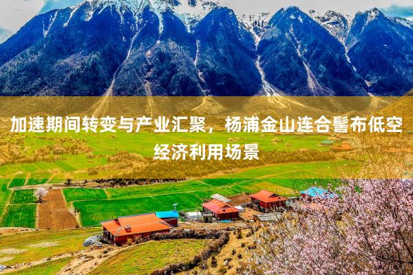 加速期间转变与产业汇聚，杨浦金山连合髻布低空经济利用场景