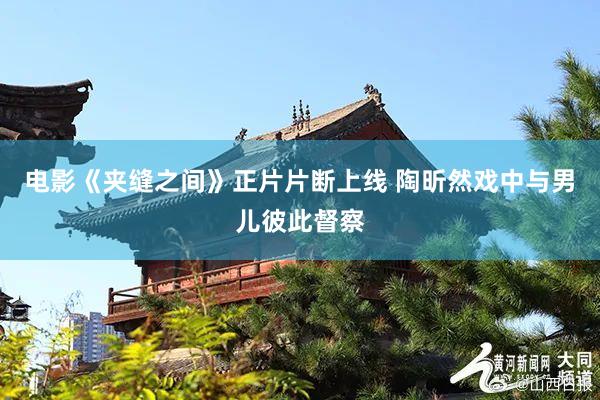 电影《夹缝之间》正片片断上线 陶昕然戏中与男儿彼此督察