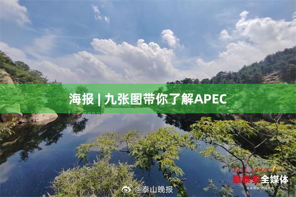 海报 | 九张图带你了解APEC