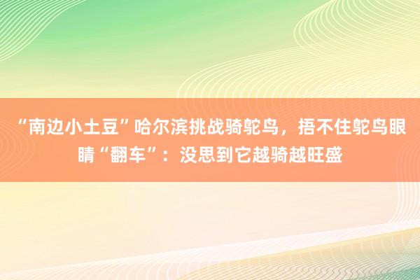 “南边小土豆”哈尔滨挑战骑鸵鸟，捂不住鸵鸟眼睛“翻车”：没思到它越骑越旺盛