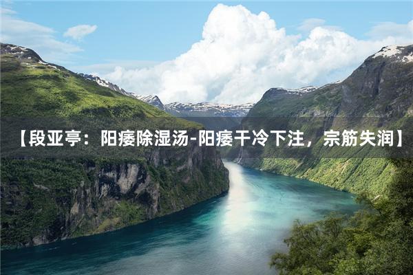 【段亚亭：阳痿除湿汤-阳痿干冷下注，宗筋失润】