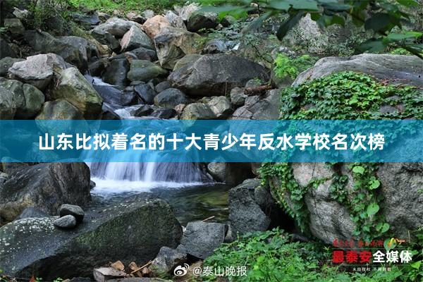 山东比拟着名的十大青少年反水学校名次榜