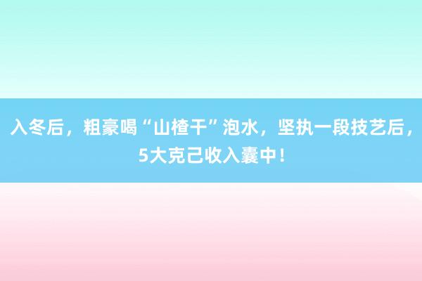 入冬后，粗豪喝“山楂干”泡水，坚执一段技艺后，5大克己收入囊中！