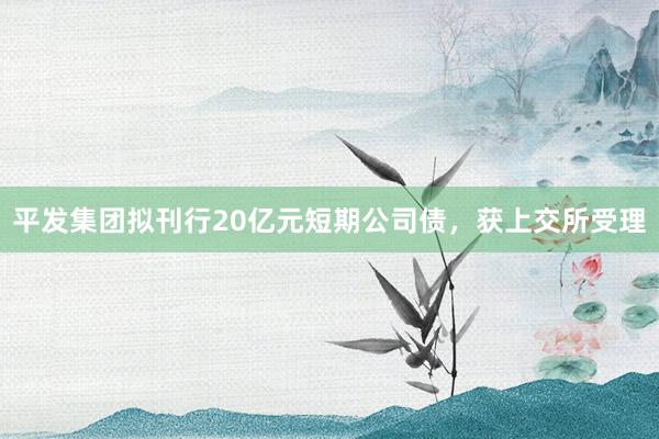 平发集团拟刊行20亿元短期公司债，获上交所受理