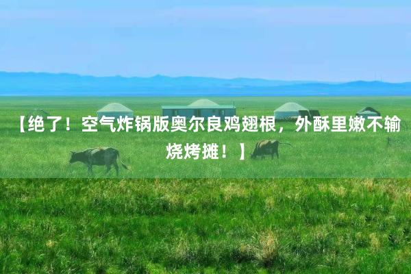 【绝了！空气炸锅版奥尔良鸡翅根，外酥里嫩不输烧烤摊！】