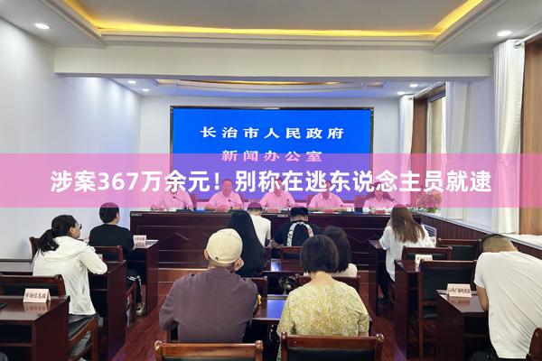 涉案367万余元！别称在逃东说念主员就逮