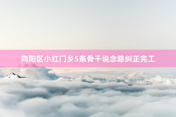 向阳区小红门乡5条骨干说念路纠正完工