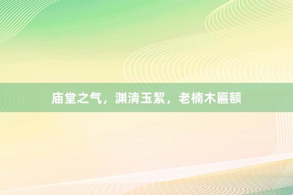 庙堂之气，渊清玉絜，老楠木匾额