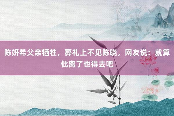 陈妍希父亲牺牲，葬礼上不见陈晓，网友说：就算仳离了也得去吧