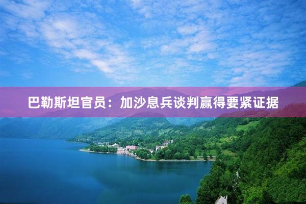 巴勒斯坦官员：加沙息兵谈判赢得要紧证据
