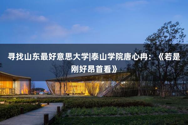 寻找山东最好意思大学|泰山学院唐心冉：《若是刚好昂首看》
