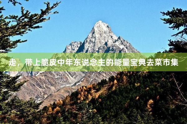 走，带上脆皮中年东说念主的能量宝典去菜市集